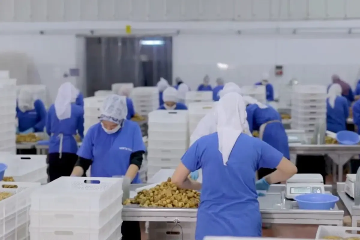 14 ulkeye ihracat yapan turk gida devi konkordato ilan etti islqgB5O