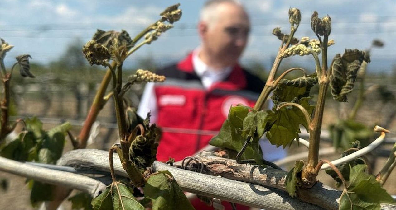 zirai dondan etkilenen ciftcilere destek odemesi yapilacak 5uJm5u9S