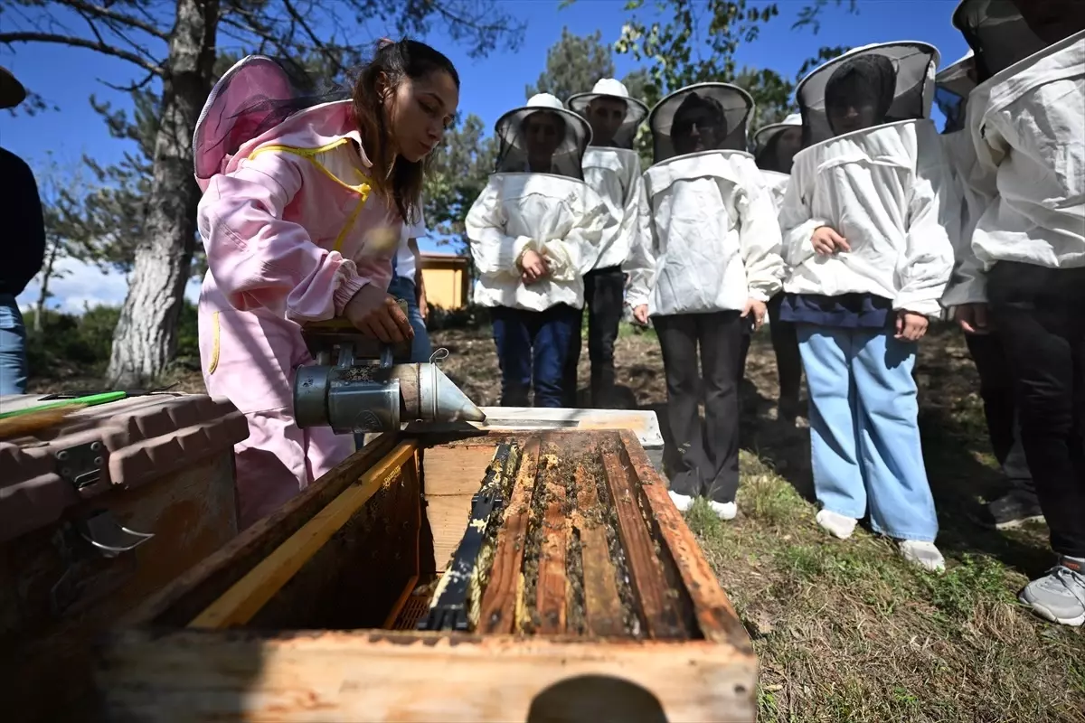 ozel bireyler aricilik egitimi aliyor LaPjjjMi