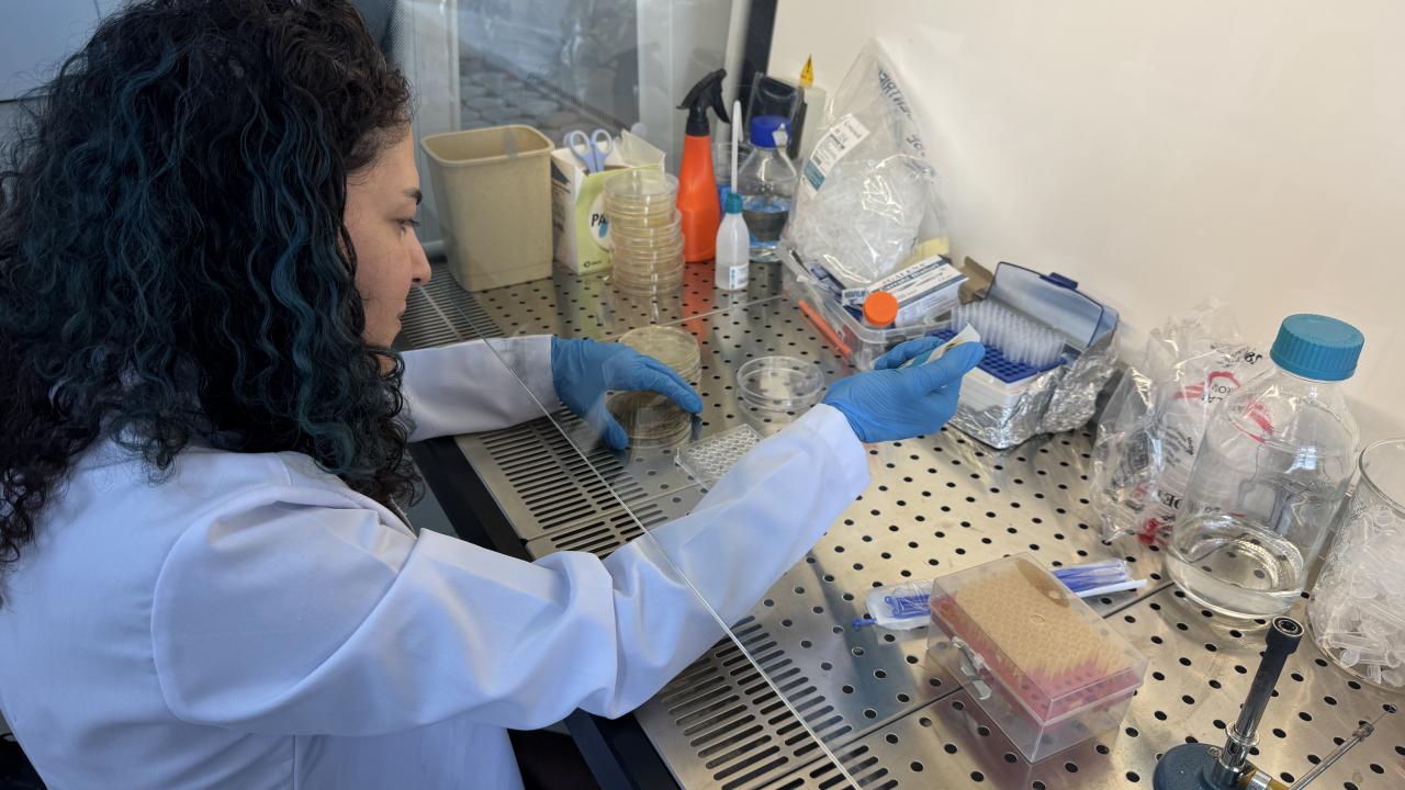 turkiye bordan yara ortusu uretti artik daha hizli iyilesme saglanacak eVervq6u